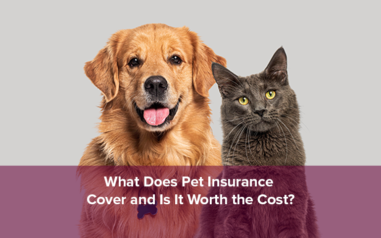 What Does Pet Insurance Cover and Is It Worth the Cost?